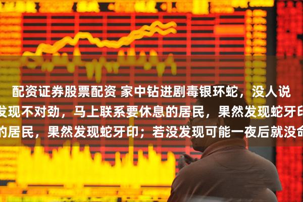 配资证券股票配资 家中钻进剧毒银环蛇，没人说被咬，救助人员离开后发现不对劲，马上联系要休息的居民，果然发现蛇牙印；若没发现可能一夜后就没命了